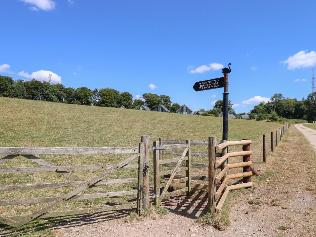 Swandown, 20 Poldon Villa Chard Buitenkant foto